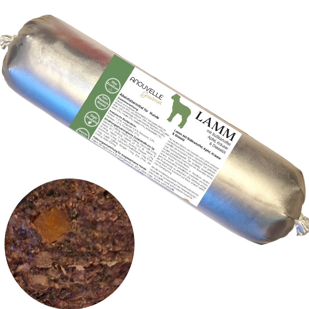 Was wirklich im Hundefutter steckt – Fleischangaben und Inhaltsstoffe erklärt