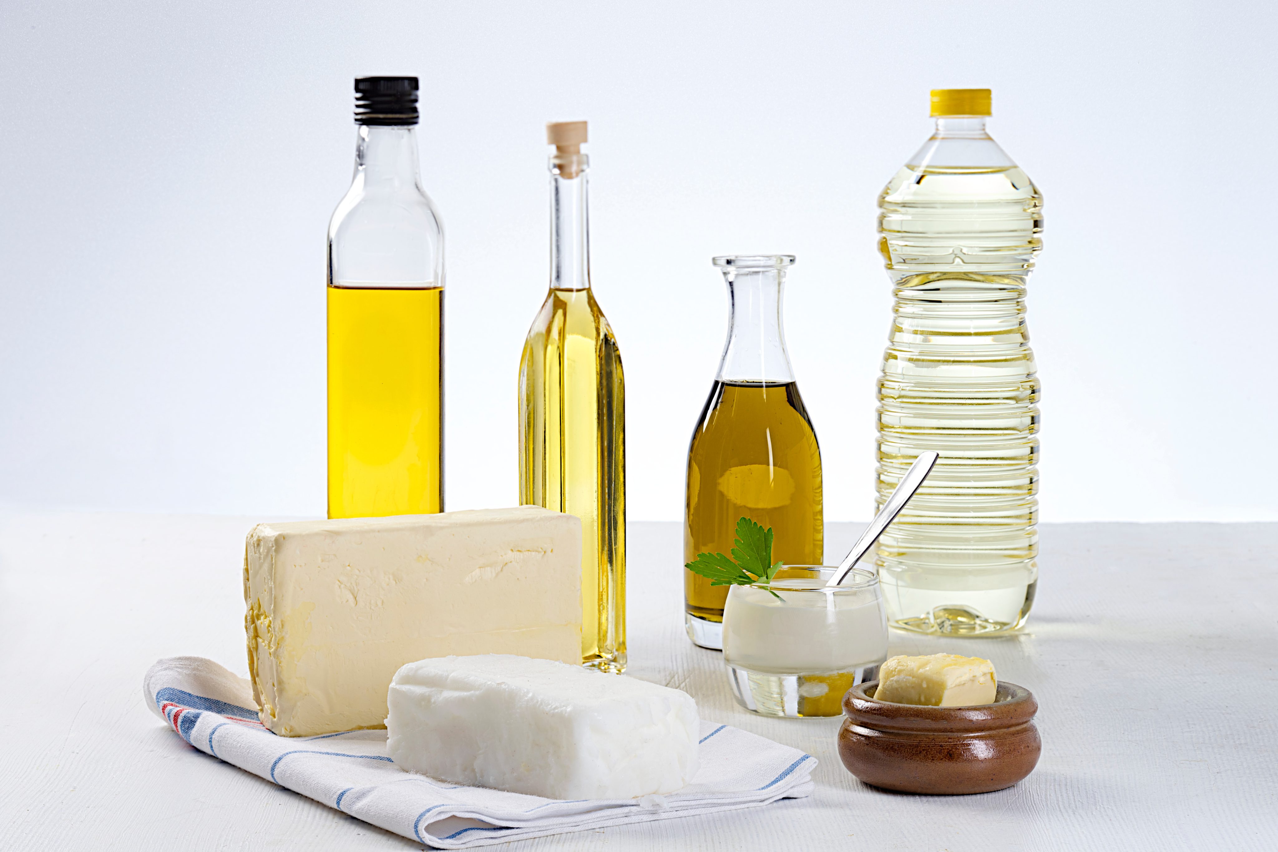 Fett im Hundefutter – Fettquellen, Omega-3 und Omega-6