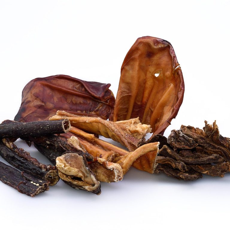 Getrocknete Pilze und Wurzeln in verschiedenen Formen und Farben auf weißem Hintergrund.